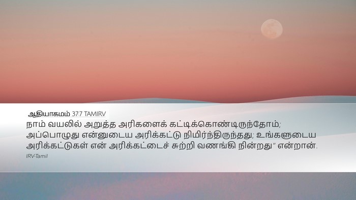 ஆதியாகமம் 37:7 TAMIRV Desktop Wallpaper - நாம் வயலில் - Desktop Bible Verse Wallpaper