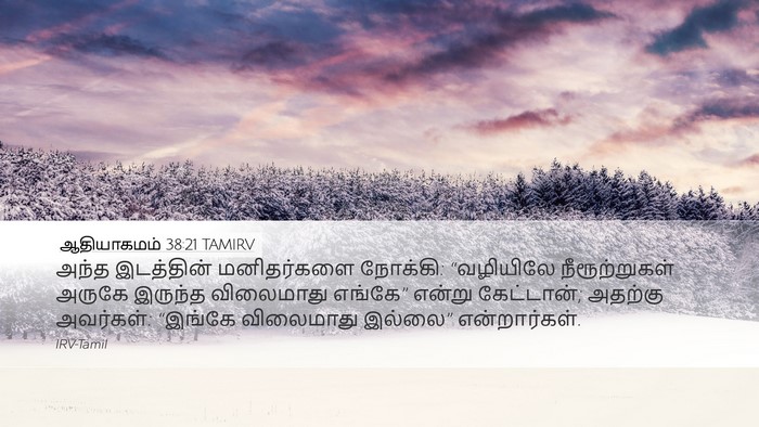 ஆதியாகமம் 38:21 TAMIRV Desktop Wallpaper - அந்த இடத்தின் - Desktop Bible Verse Wallpaper