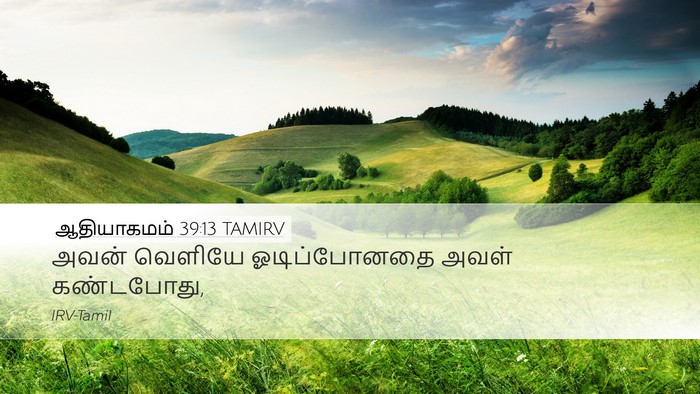 ஆதியாகமம் 39:13 TAMIRV Desktop Wallpaper - அவன் வெளியே - Desktop Bible Verse Wallpaper