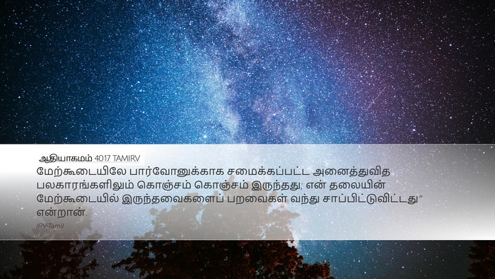 ஆதியாகமம் 40:17 TAMIRV Desktop Wallpaper - மேற்கூடையிலே - Desktop Bible Verse Wallpaper