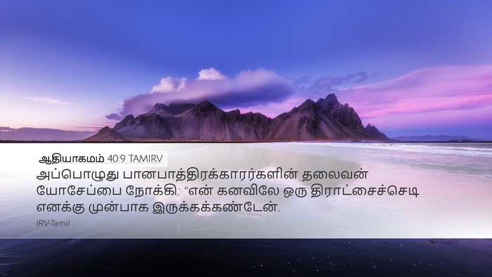 ஆதியாகமம் 40:9 TAMIRV Desktop Wallpaper - அப்பொழுது - Desktop Bible Verse Wallpaper