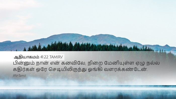 ஆதியாகமம் 41:22 TAMIRV Desktop Wallpaper - பின்னும் நான் என் - Desktop Bible Verse Wallpaper