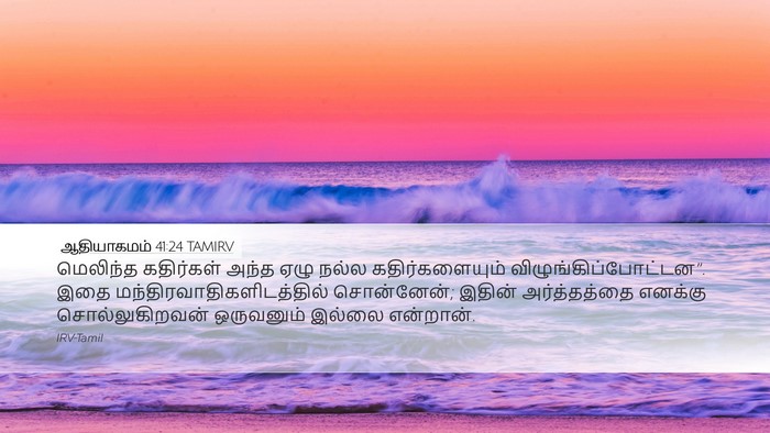 ஆதியாகமம் 41:24 TAMIRV Desktop Wallpaper - மெலிந்த கதிர்கள் - Desktop Bible Verse Wallpaper