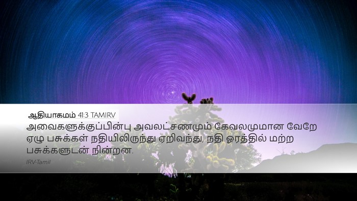 ஆதியாகமம் 41:3 TAMIRV Desktop Wallpaper -  - Desktop Bible Verse Wallpaper