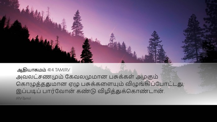 ஆதியாகமம் 41:4 TAMIRV Desktop Wallpaper - அவலட்சணமும் - Desktop Bible Verse Wallpaper