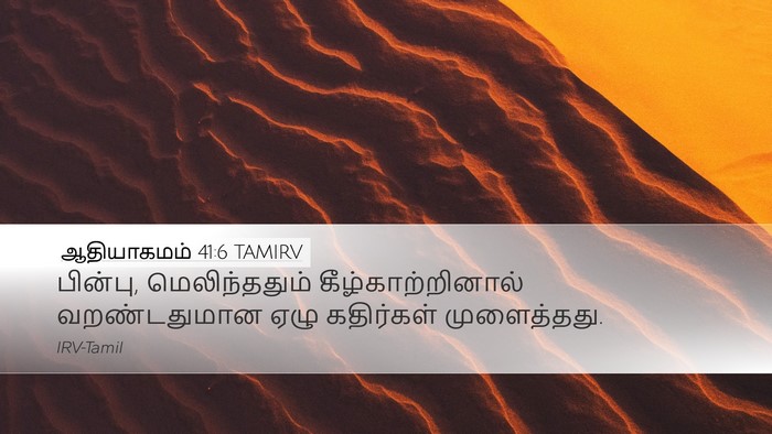 ஆதியாகமம் 41:6 TAMIRV Bible Verse Image