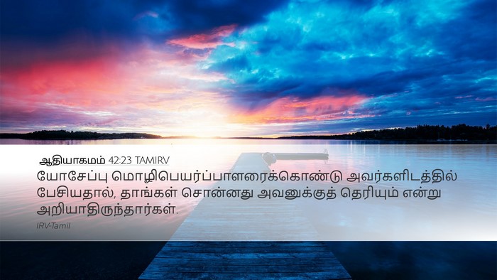 ஆதியாகமம் 42:23 TAMIRV Bible Verse Image