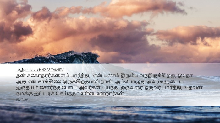 ஆதியாகமம் 42:28 TAMIRV Bible Verse Image