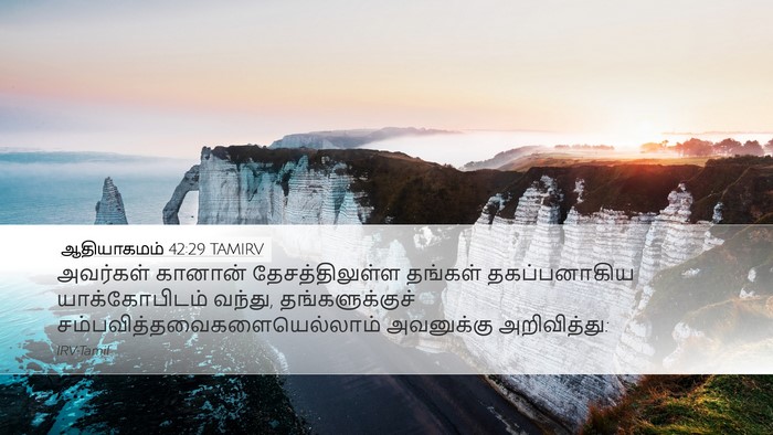 ஆதியாகமம் 42:29 TAMIRV Desktop Wallpaper - அவர்கள் கானான் - Desktop Bible Verse Wallpaper
