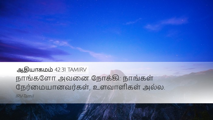 ஆதியாகமம் 42:31 TAMIRV Desktop Wallpaper - நாங்களோ அவனை - Desktop Bible Verse Wallpaper