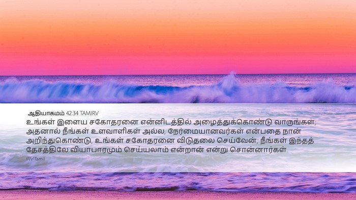 ஆதியாகமம் 42:34 TAMIRV Bible Verse Image