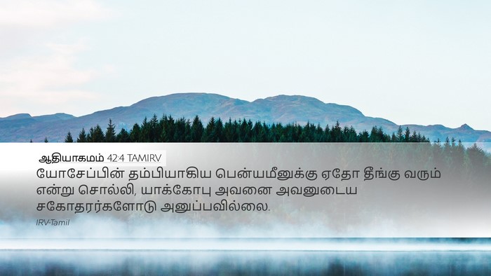 ஆதியாகமம் 42:4 TAMIRV Desktop Wallpaper - யோசேப்பின் - Desktop Bible Verse Wallpaper