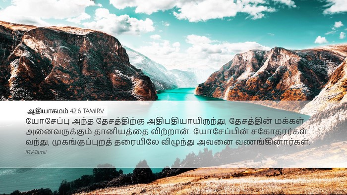 ஆதியாகமம் 42:6 TAMIRV Bible Verse Image