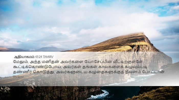 ஆதியாகமம் 43:24 TAMIRV Bible Verse Image