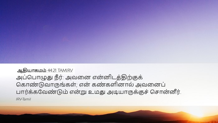 ஆதியாகமம் 44:21 TAMIRV Desktop Wallpaper - அப்பொழுது நீர்: - Desktop Bible Verse Wallpaper