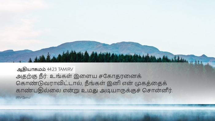 ஆதியாகமம் 44:23 TAMIRV Bible Verse Image