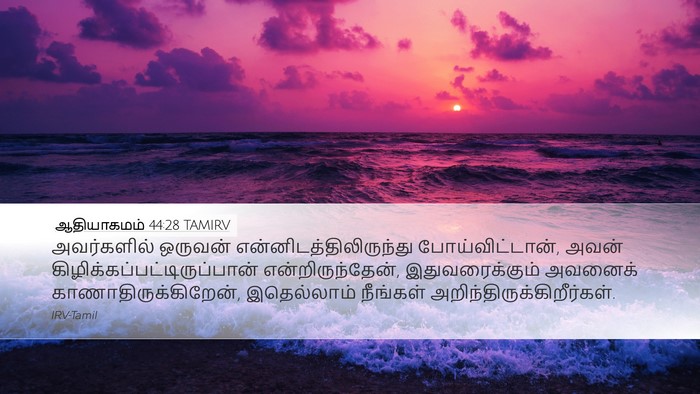 ஆதியாகமம் 44:28 TAMIRV Bible Verse Image
