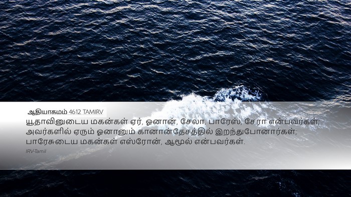 ஆதியாகமம் 46:12 TAMIRV Bible Verse Image