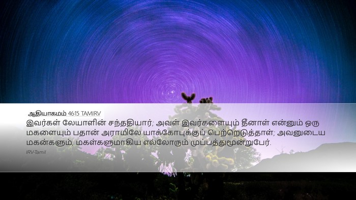 ஆதியாகமம் 46:15 TAMIRV Bible Verse Image