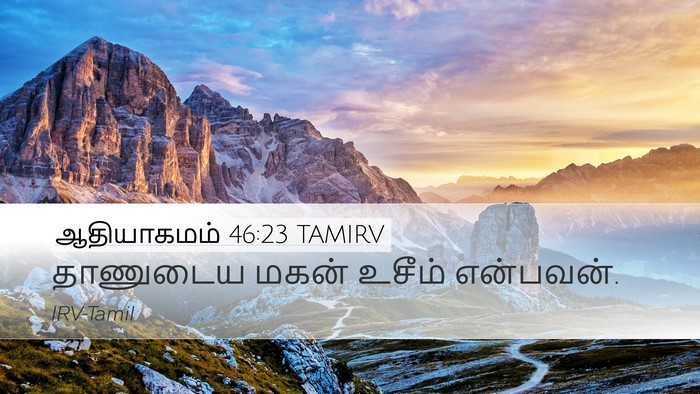 ஆதியாகமம் 46:23 TAMIRV Bible Verse Image