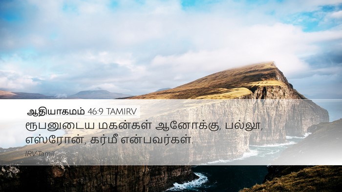 ஆதியாகமம் 46:9 TAMIRV Bible Verse Image