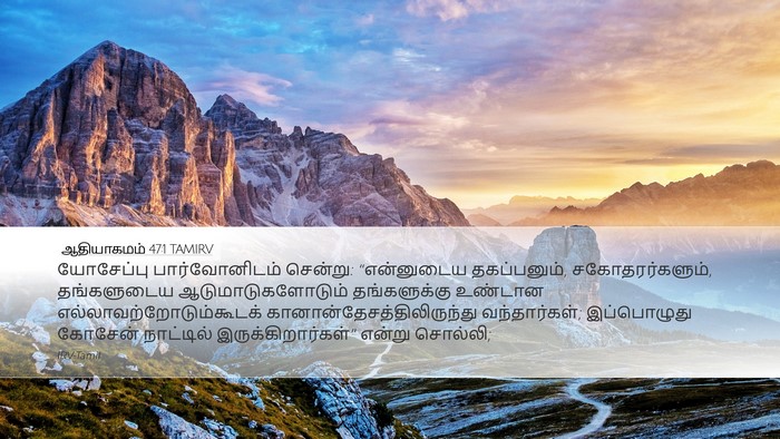 ஆதியாகமம் 47:1 TAMIRV Desktop Wallpaper - யோசேப்பு - Desktop Bible Verse Wallpaper