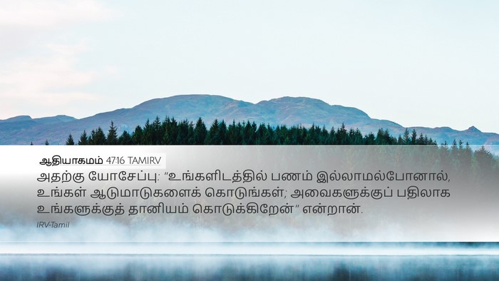 ஆதியாகமம் 47:16 TAMIRV Desktop Wallpaper - அதற்கு யோசேப்பு: - Desktop Bible Verse Wallpaper