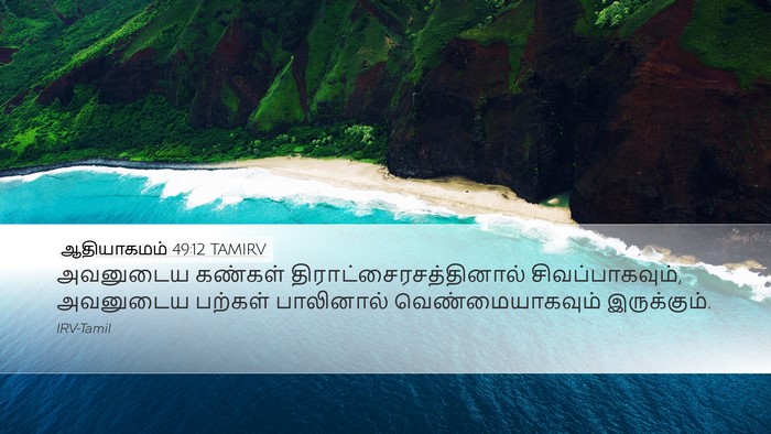 ஆதியாகமம் 49:12 TAMIRV Bible Verse Image