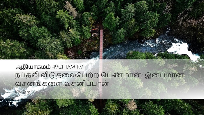 ஆதியாகமம் 49:21 TAMIRV Bible Verse Image