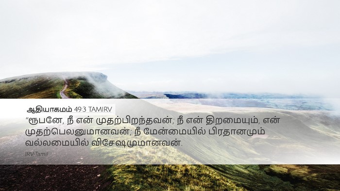 ஆதியாகமம் 49:3 TAMIRV Bible Verse Image