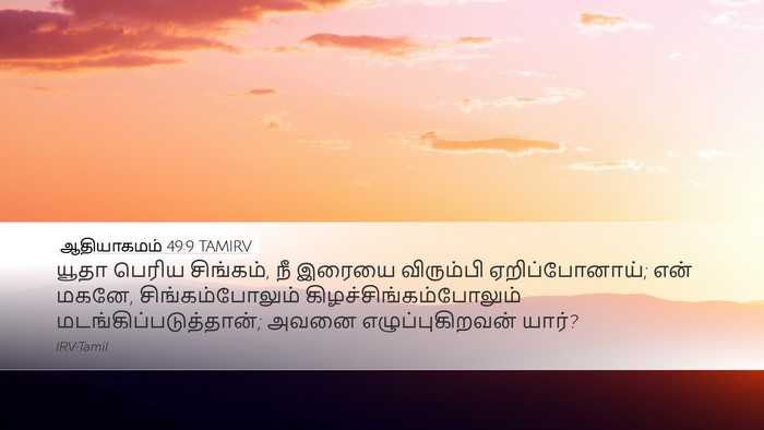 ஆதியாகமம் 49:9 TAMIRV Bible Verse Image