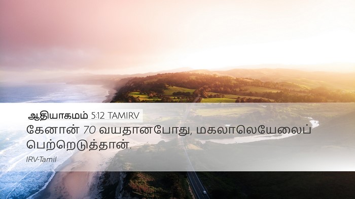 ஆதியாகமம் 5:12 TAMIRV Bible Verse Image