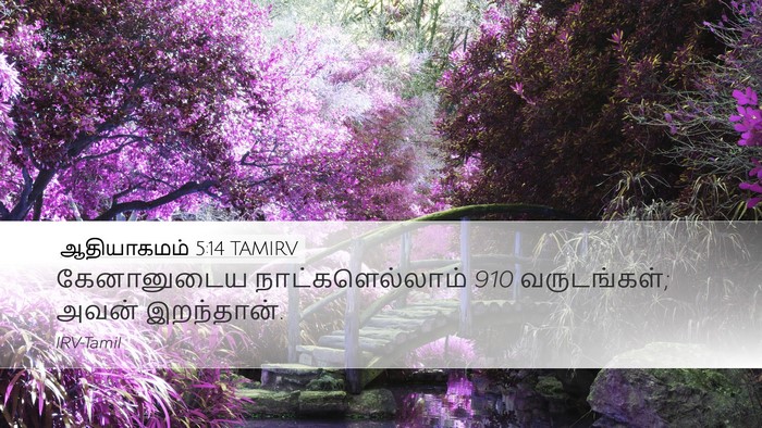 ஆதியாகமம் 5:14 TAMIRV Desktop Wallpaper - கேனானுடைய - Desktop Bible Verse Wallpaper