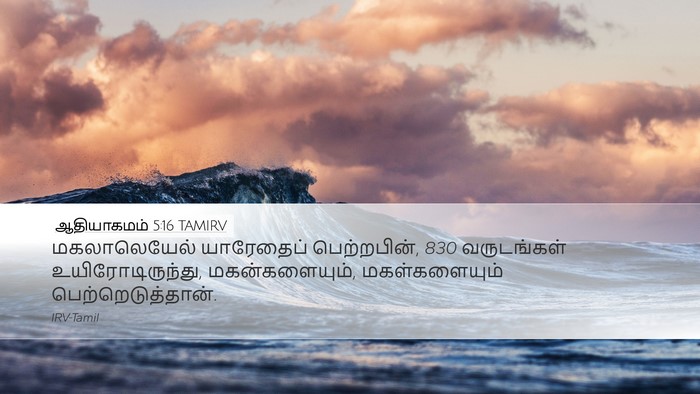 ஆதியாகமம் 5:16 TAMIRV Desktop Wallpaper - மகலாலெயேல் - Desktop Bible Verse Wallpaper