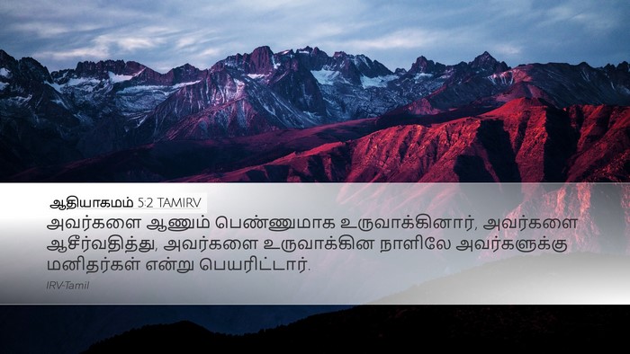 ஆதியாகமம் 5:2 TAMIRV Desktop Wallpaper - அவர்களை ஆணும் - Desktop Bible Verse Wallpaper