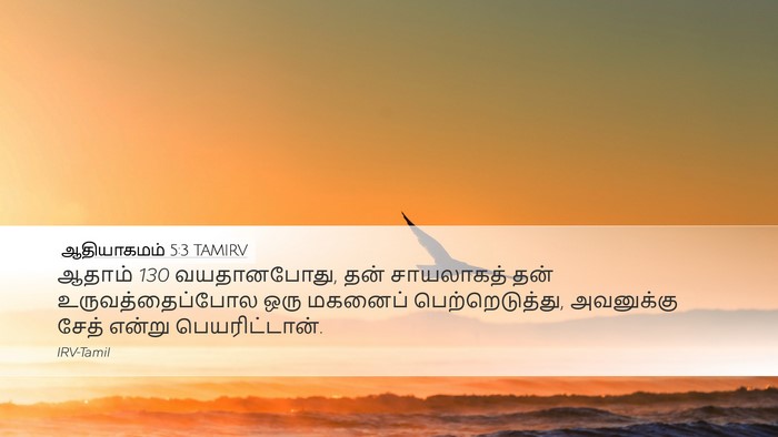 ஆதியாகமம் 5:3 TAMIRV Bible Verse Image