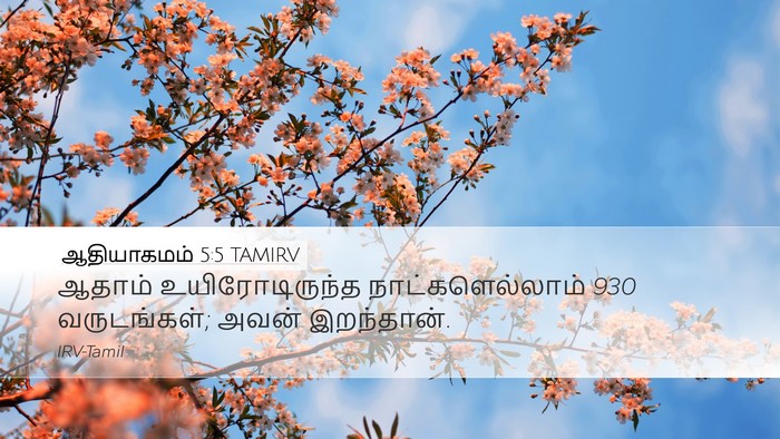 ஆதியாகமம் 5:5 TAMIRV Bible Verse Image