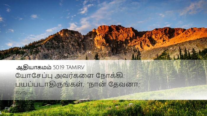 ஆதியாகமம் 50:19 TAMIRV Bible Verse Image