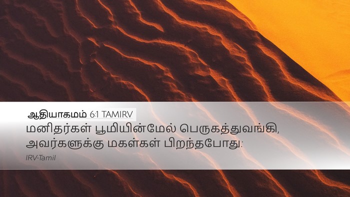 ஆதியாகமம் 6:1 TAMIRV Bible Verse Image