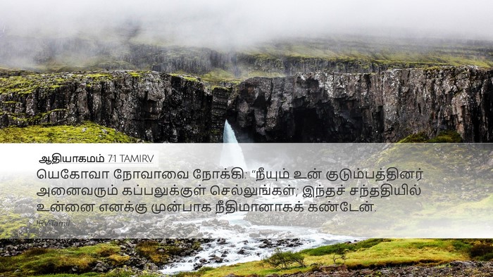 ஆதியாகமம் 7:1 TAMIRV Bible Verse Image