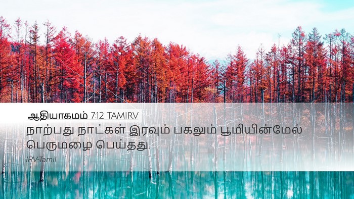 ஆதியாகமம் 7:12 TAMIRV Desktop Wallpaper - நாற்பது நாட்கள் - Desktop Bible Verse Wallpaper