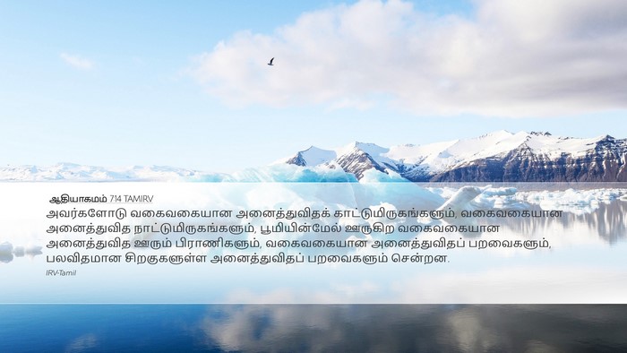 ஆதியாகமம் 7:14 TAMIRV Desktop Wallpaper - அவர்களோடு - Desktop Bible Verse Wallpaper