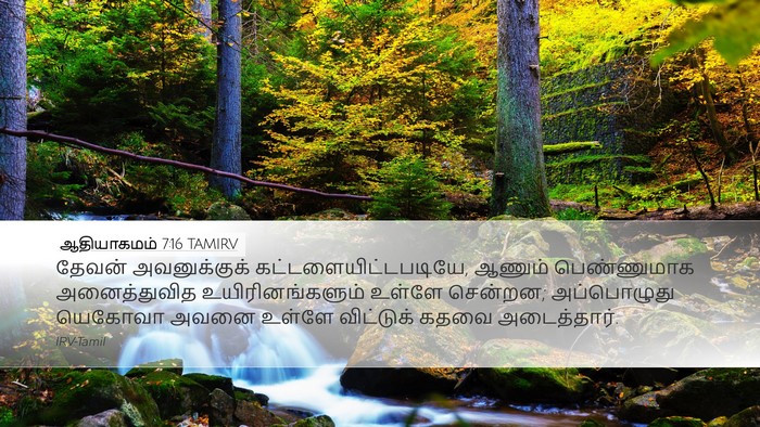 ஆதியாகமம் 7:16 TAMIRV Desktop Wallpaper - தேவன் அவனுக்குக் - Desktop Bible Verse Wallpaper