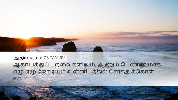 ஆதியாகமம் 7:3 TAMIRV Desktop Wallpaper - ஆகாயத்துப் - Desktop Bible Verse Wallpaper