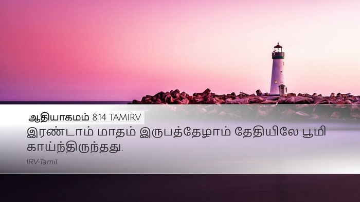 ஆதியாகமம் 8:14 TAMIRV Desktop Wallpaper - இரண்டாம் மாதம் - Desktop Bible Verse Wallpaper