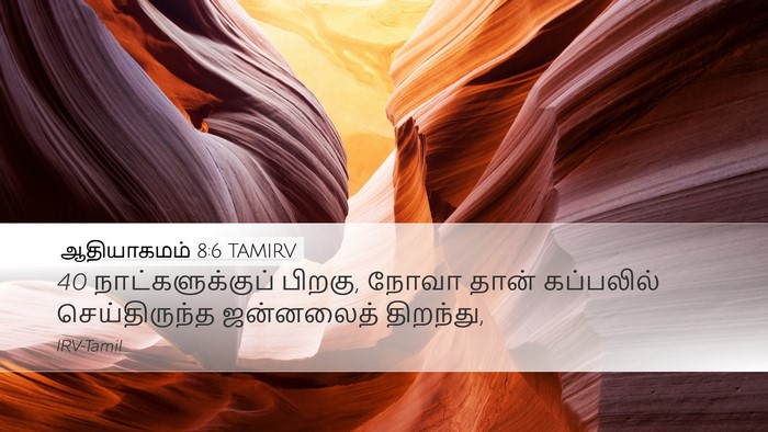 ஆதியாகமம் 8:6 TAMIRV Desktop Wallpaper - 40 நாட்களுக்குப் - Desktop Bible Verse Wallpaper