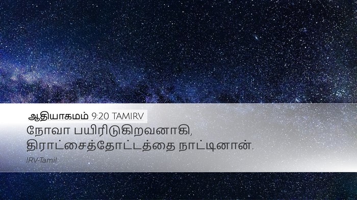 ஆதியாகமம் 9:20 TAMIRV Desktop Wallpaper - நோவா - Desktop Bible Verse Wallpaper