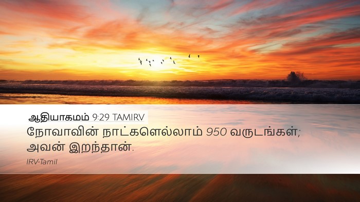ஆதியாகமம் 9:29 TAMIRV Bible Verse Image