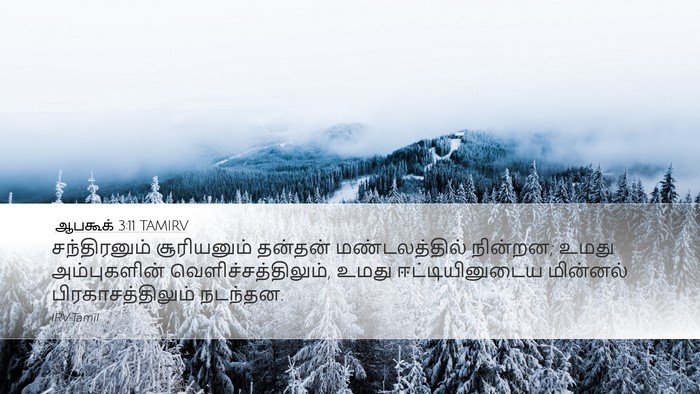 ஆபகூக் 3:11 TAMIRV Bible Verse Image