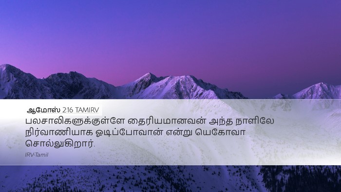 ஆமோஸ் 2:16 TAMIRV Desktop Wallpaper -  - Desktop Bible Verse Wallpaper